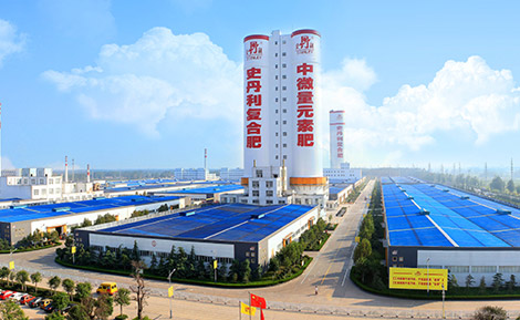 山东史丹利化肥股份