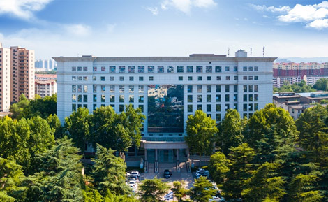 豫光集团