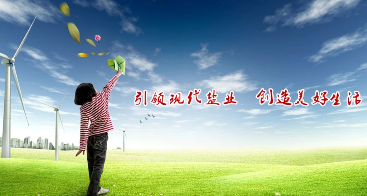 中盐集团丨6年相伴，第五期合作开工！